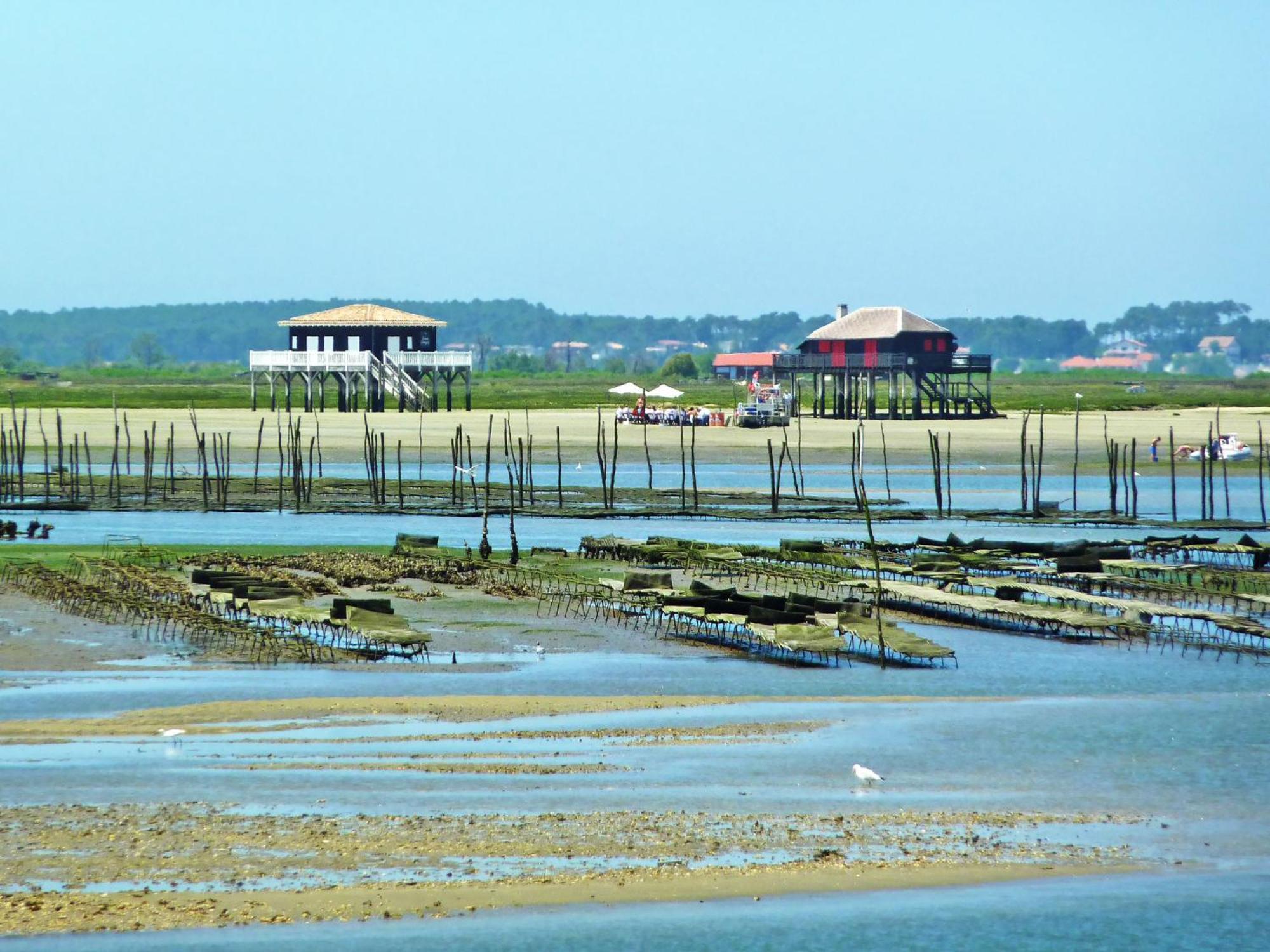Apartment Sainte Marie By Interhome Arcachon Zewnętrze zdjęcie
